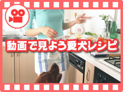 動画でみよう愛犬レシピ